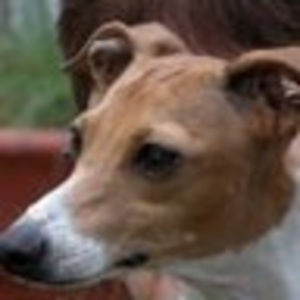 Meet your Posher, Loretta